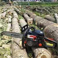 园林机械雅马哈325导板进口油锯 砍树工具四冲程伐木锯