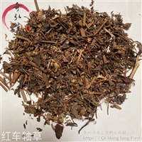 中药材红车轴草-红车轴草批发零售