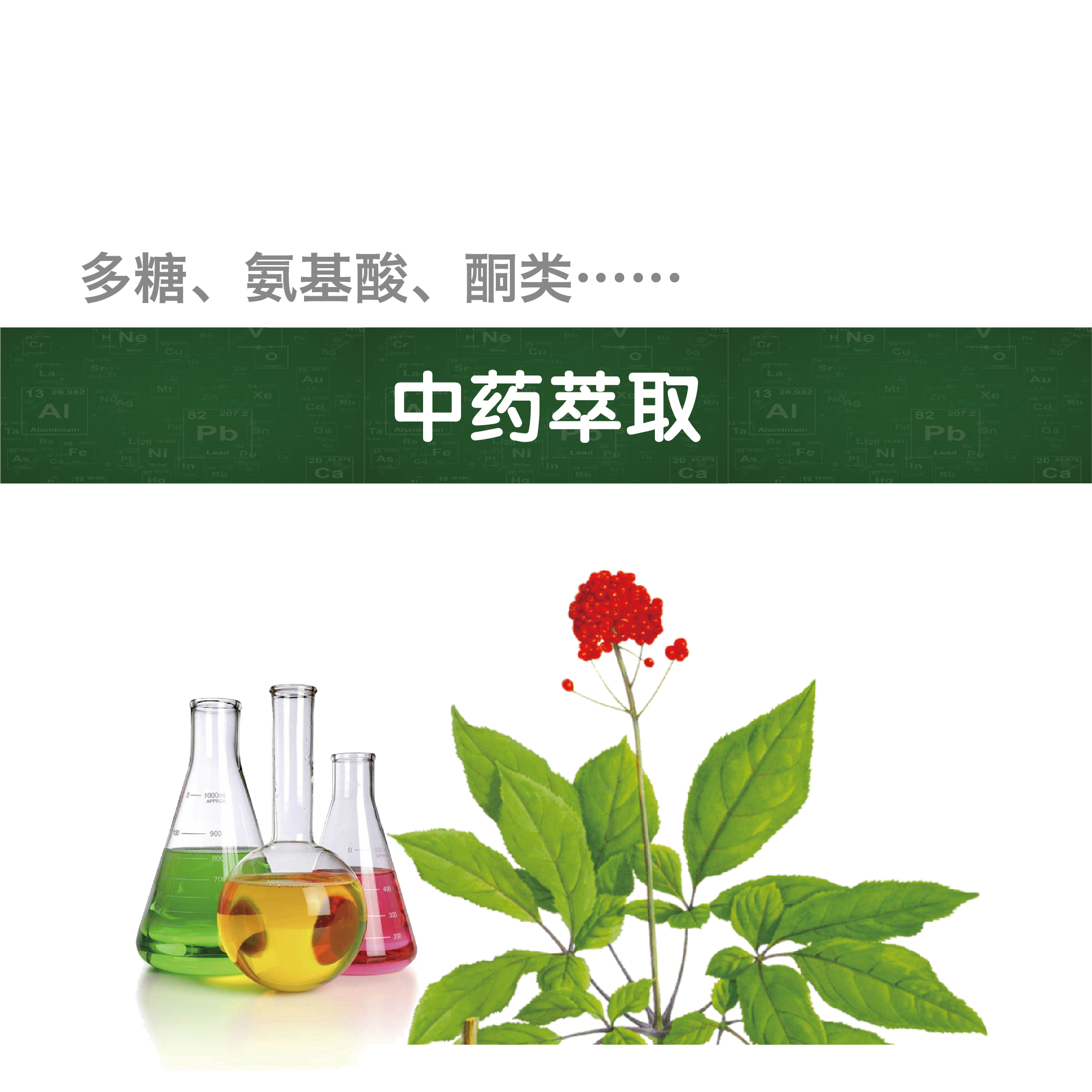 天然产物提取提纯中药提取精油提取油脂回收植物萃取