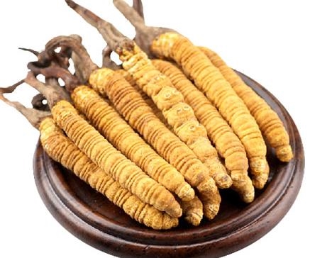 西牛鎮(zhèn)回收冬蟲(chóng)夏草價(jià)格，回收4.5千條冬蟲(chóng)夏草商家