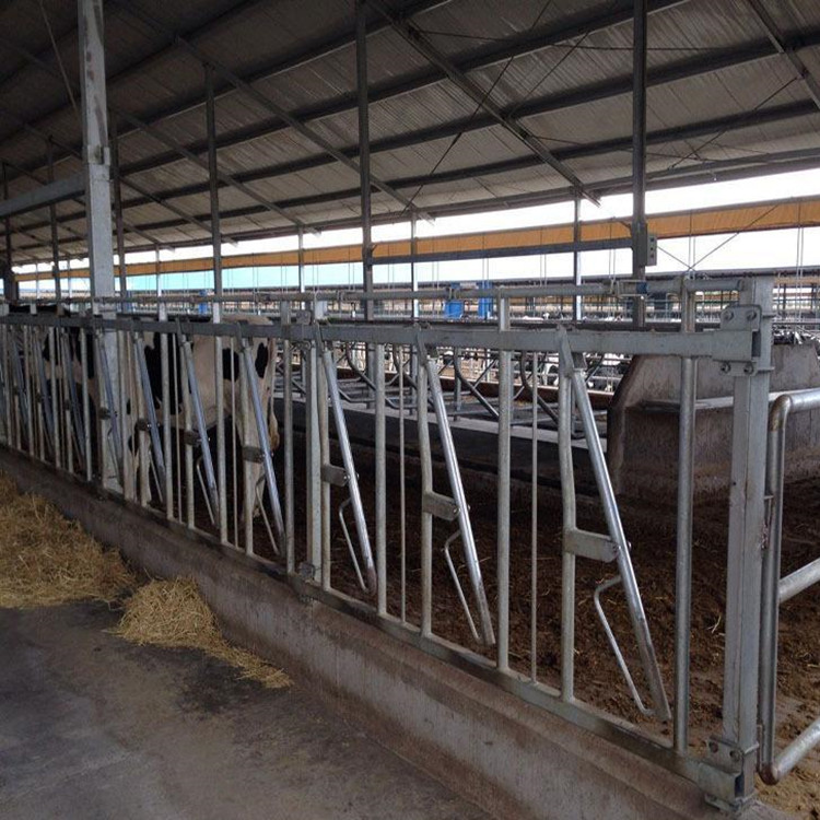 单开自锁式牛颈枷 大型牛场用定位栏 畜牧养殖用具