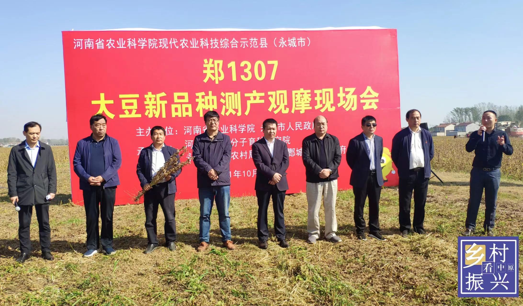 种大豆产量高认准郑1307品种厂家批发