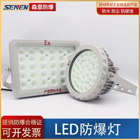 防爆免维护节能照明灯BSX86-B LED100W