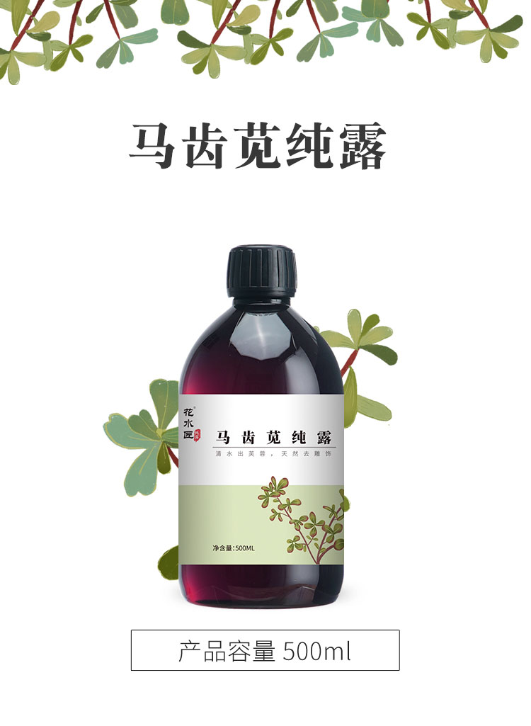 马齿苋纯露厂家直供一比一提取