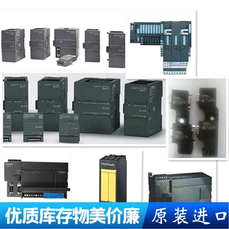 西門子模塊6AV21052RT030BD0參數(shù)說明