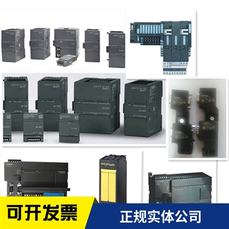 西门子模块6ES78220AA030YA5参数说明