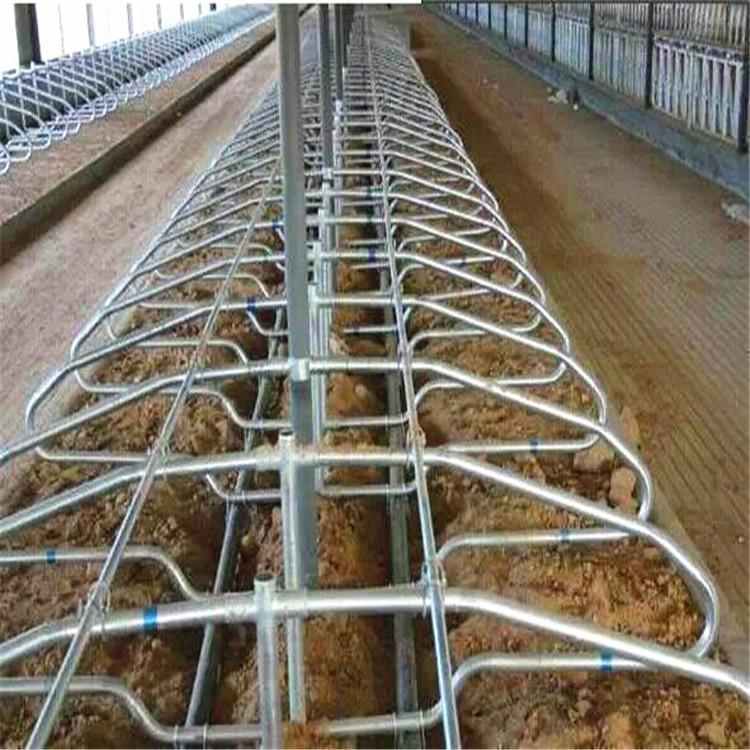 自锁式奶牛养殖牛颈夹 规范化养殖定位栏 鑫联供应