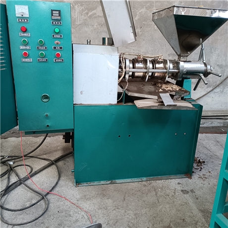 新式油茶榨油机 油茶冷榨设备 凯迪新型全自动一体榨油机