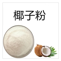 椰子粉 可代工压片糖果 固体饮料斯诺特多规格果粉