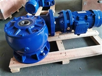 PLE120-L2-25-S2-P224/110/145/M8打DPL118/2-25空心轴减速机H2HH6