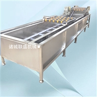 全自动水果清洗机 清洗水果的设备 高压喷淋