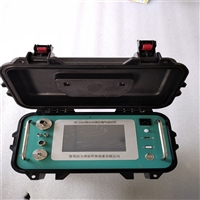 烟气分析仪  烟气综合分析仪  DL-6310   便携式分析仪器