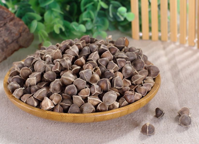 天津港辣木籽进口报关代理