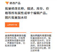 务必发产品复制软件广西柳州市四川政采搭档政采云店铺装修服务 