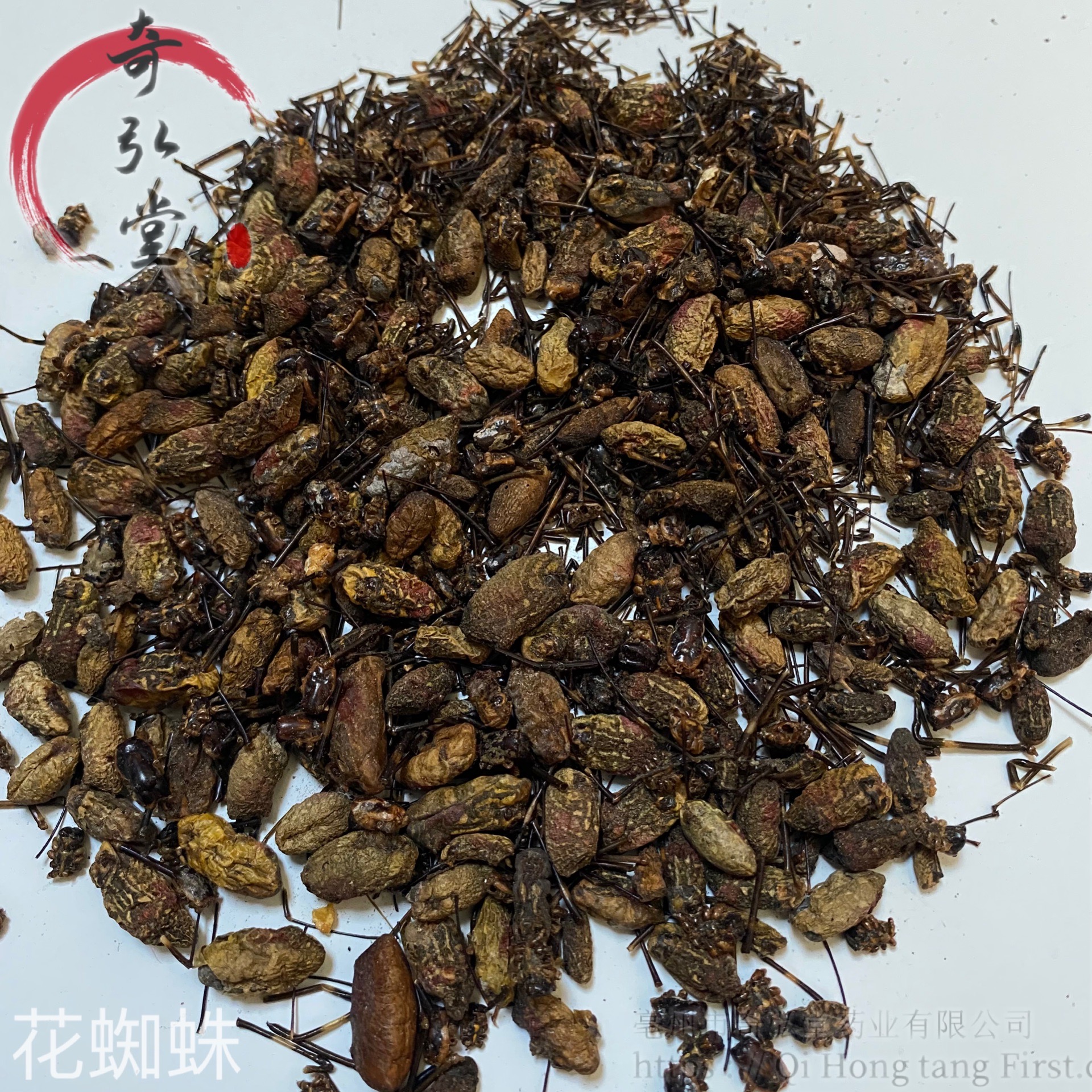 中药材花蜘蛛花蜘蛛的药用价值