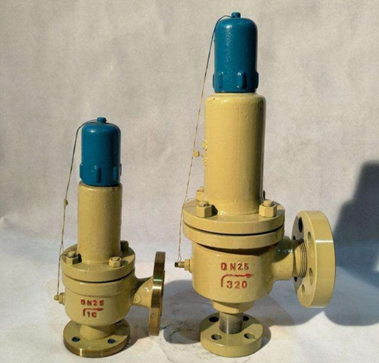 带封闭散热器弹簧全启式安全阀