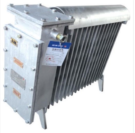 煤/兼增安型电热取暖器( 型号:RB-2000/127(A)库号：M407860