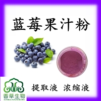 蓝莓果汁粉 蓝莓冻干粉 蓝莓提取物