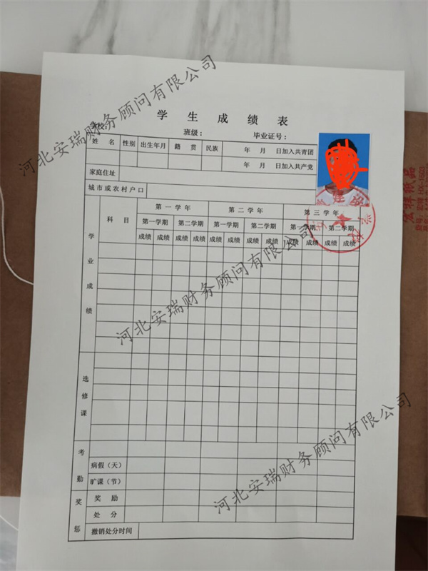 石家庄元氏工商营业执照河北鼎诺财务证明企业诉讼主体