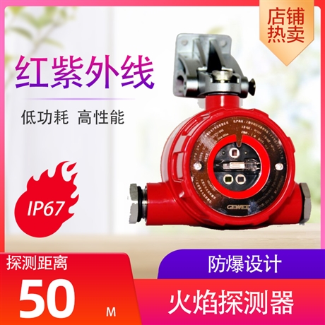 隧道用復合型火焰探測器廠家