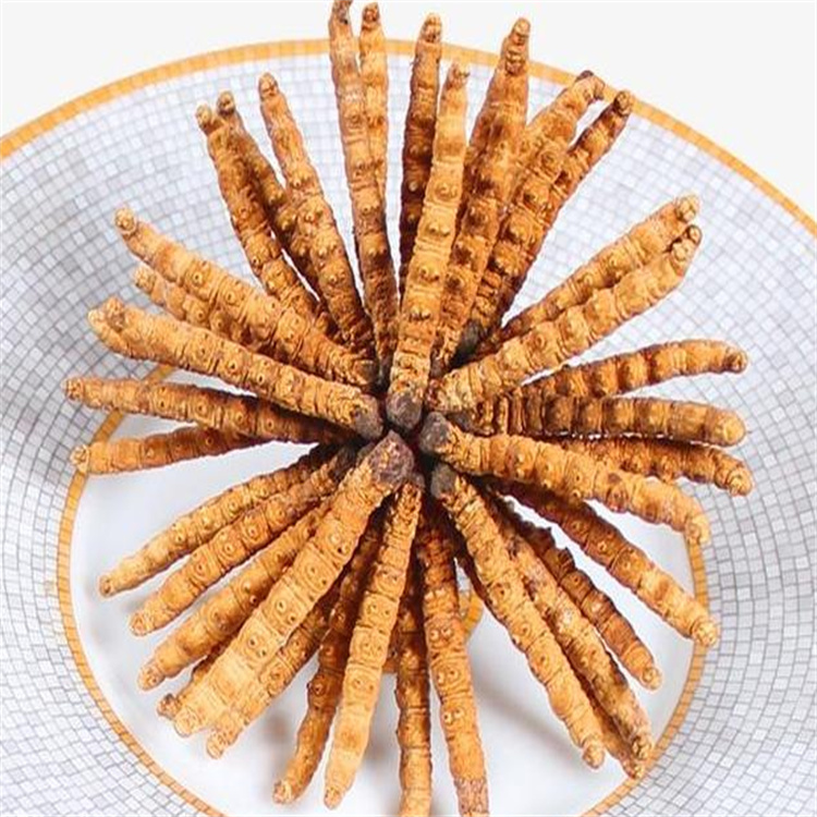 新昌县东方红冬虫夏草回收价格长期回收虫草店铺地址