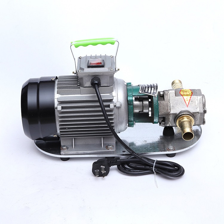 wcb手提式齿轮泵微型电动抽油泵吸力齿轮泵wcb75手提泵