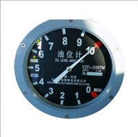 国产油位计YZL-250