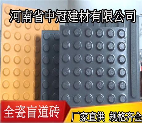 盲道砖市场商机 钉面20厚通用盲道砖 全瓷盲道砖