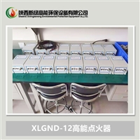 高能点火器XLGND-12 焦化厂燃料炉点火装置 新绿高能