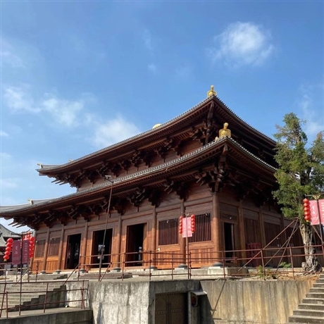 屋顶望板加工菠萝格木材进口菠萝格木材