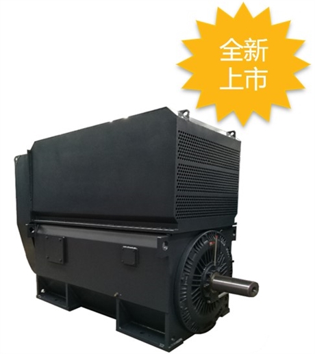 無(wú)錫華達(dá)電機(jī)有限公司 HAH高壓電機(jī) 小機(jī)座號(hào) IP55