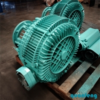 环形防爆气泵  BT4 CT4 吹吸两用