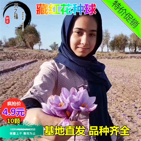 湘潭紅花酢漿草專賣