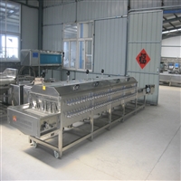 新式大姜清洗机