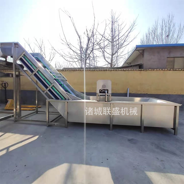 新疆葡萄干气泡清洗机 冲浪清洗的加工设备