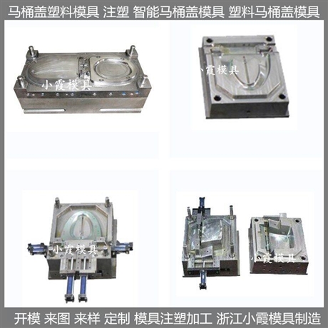 马桶盖注塑模具自动马桶盖注塑模具