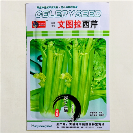 湖北黃石青蘿卜種子哪里賣