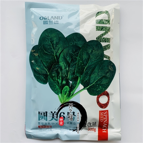 吉林通化水果蘿卜種子哪里賣