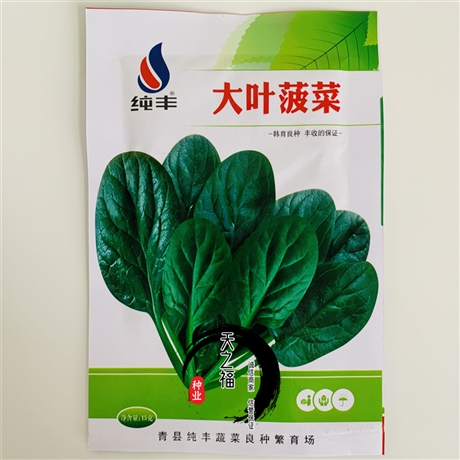 淮安揚(yáng)州青種子報(bào)價(jià)