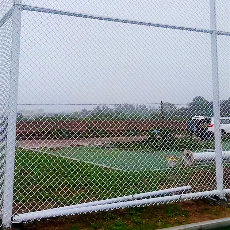株洲白色楼顶足球场围网案例