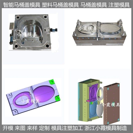 黄岩模具开发坐便器塑胶模具加工厂