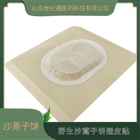 沙蒿子透皮贴空贴 透皮贴oem贴牌定制厂