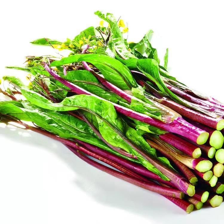 蔬菜水果无公害农产品检测