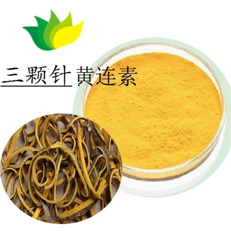 小檗根提取物