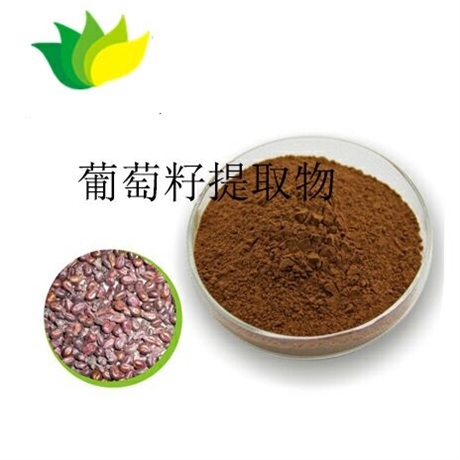 葡萄籽提取物原花青素药食同源