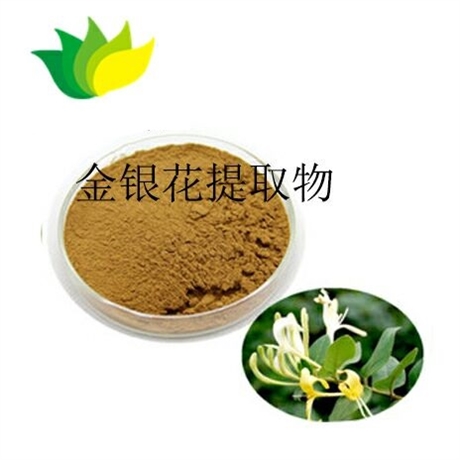 金银花提取物