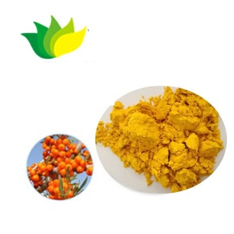沙棘提取物天然提取物果粉