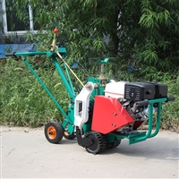 天然草坪移植机 易种植 台湾草草坪起草机 一分为二铲草皮机