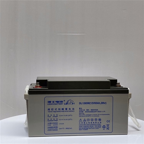 理士DJM1265閥控式鉛酸免維護蓄電池12V65AH UPS/EPS電源專用
