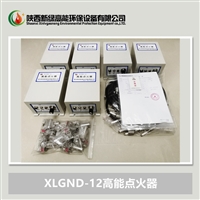 新绿高能 焦化厂燃烧器点火装置 高能点火器XLGND-12